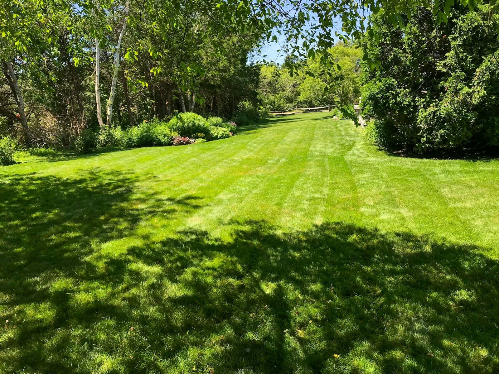 A level green lawn